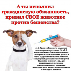 Объявление