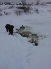 Очистка источников наружного противопожарного водоснабжения от снега и льда