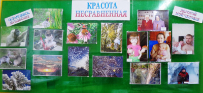 Подведены итоги фотоконкурса "Красота несравненная" Подведены итоги фотоконкурса "Красота несравненная"