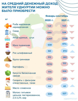 На что хватает среднедушевого дохода населения республики?