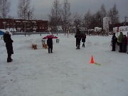 DSC04903.JPG