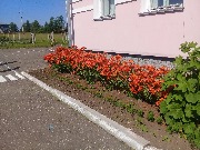 20170713_074927.jpg