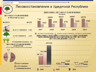 Лесовосстановление в Удмуртской Республике в 2021 году