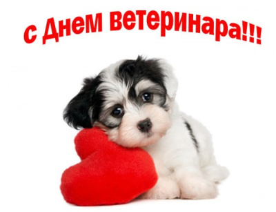 Уважаемые сотрудники и ветераны ветеринарной службы Глазовского района!