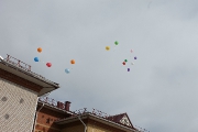 IMG_8082.JPG